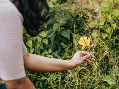 Cyanotypes with Teens