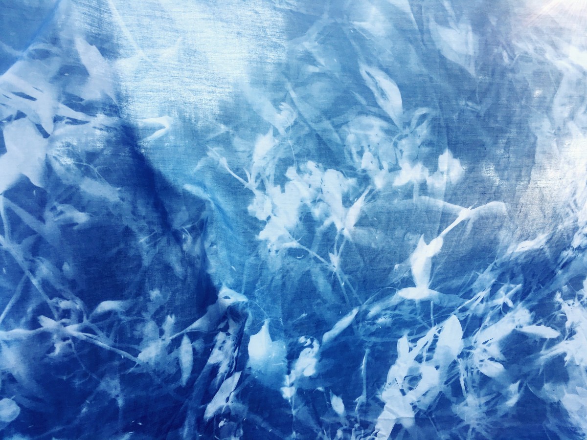 Cyanotype Kimono