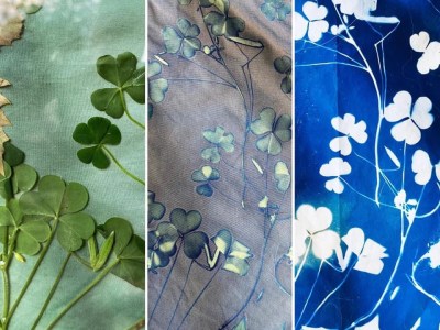 Cyanotype with Fabric Workshop&nbsp;7/20