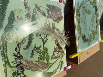 Eco Photo Bexley – Cyanotypes&nbsp;21/7/22