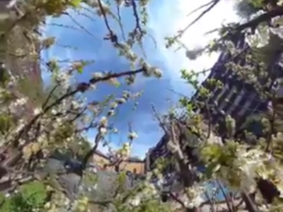 360deg Photography, Nature & Art&nbsp;30/3/23