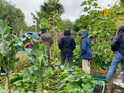 Sensory Cyanotypes 16/5/25
