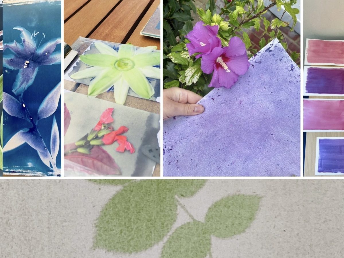 Eco Photo Summer School&nbsp;+