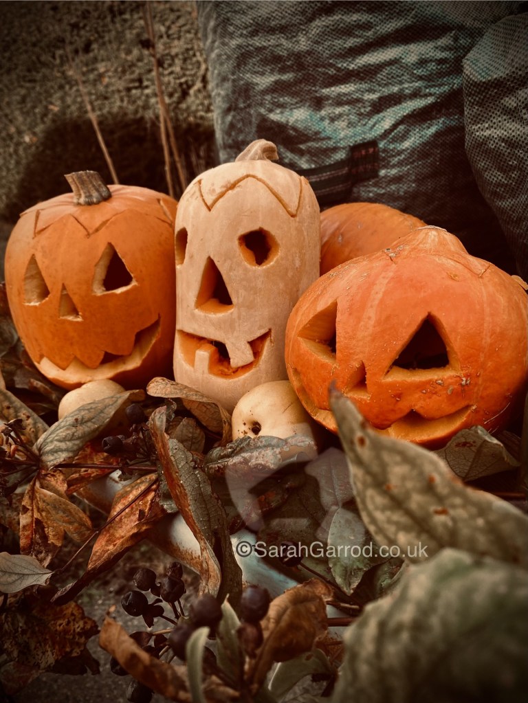 Three carved pumpkins with facial expressions, one in light beige, surrounded by autumn leaves and decorative plants.